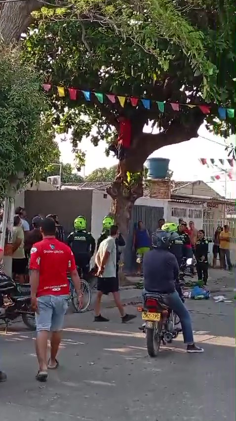 Joven intentó escapar trepando un árbol tras ser sorprendido robando en Santa Marta