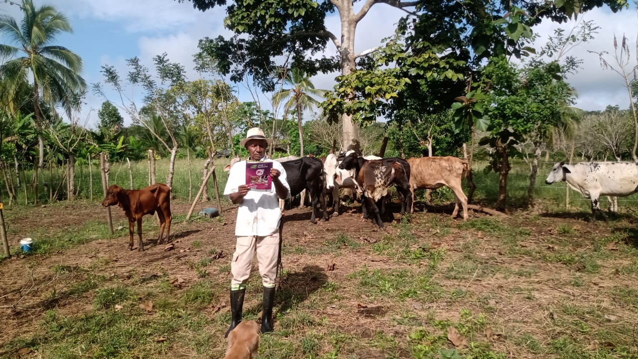 Boyacá, Cundinamarca y Antioquia, los departamentos que más generan empleo en el sector ganadero colombiano