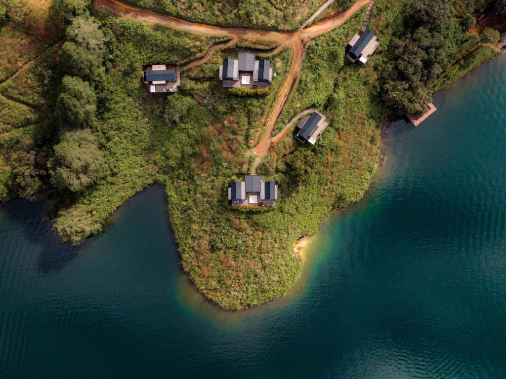 Día Internacional de los Bosques: destinos en Colombia para dormir entre árboles y reconectar con la naturaleza