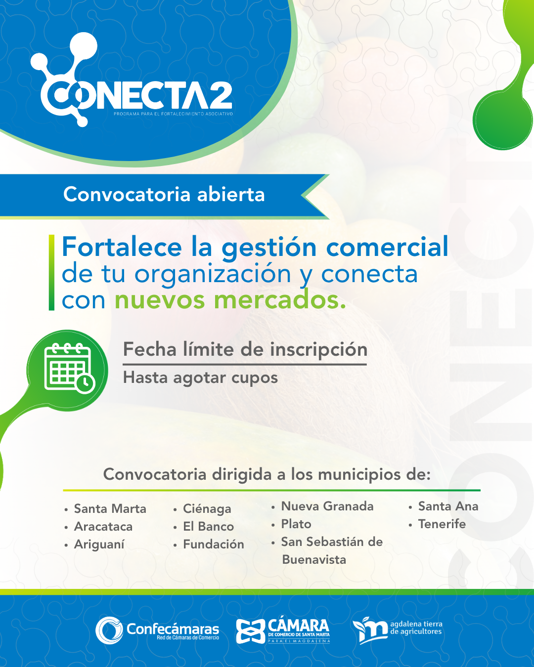 Cámara de Comercio abre convocatoria de Conecta2 para fortalecer asociaciones productivas del Magdalena