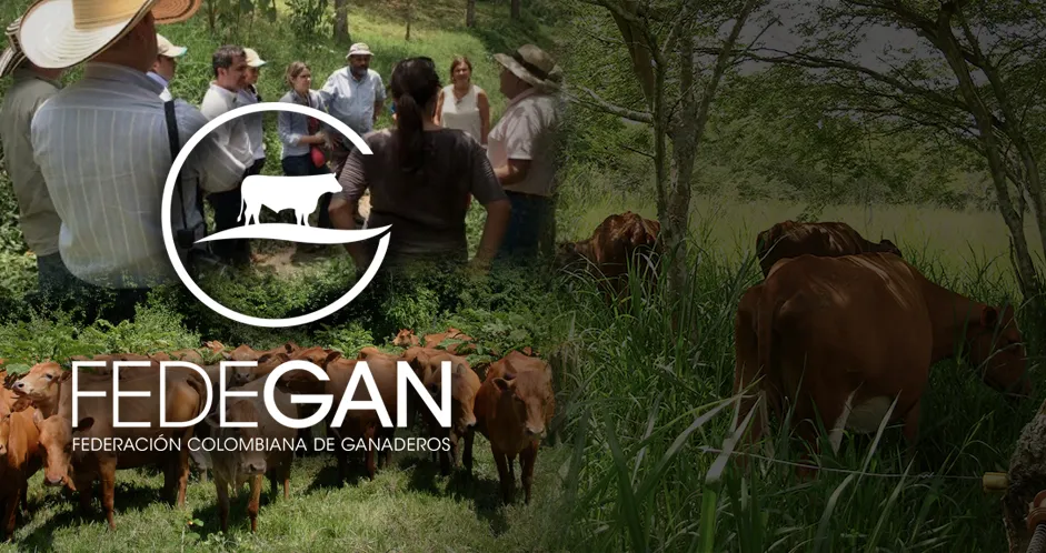 DANE anuncia cierre exitoso de evaluación ética de estadísticas del inventario bovino de FEDEGÁN-FNG