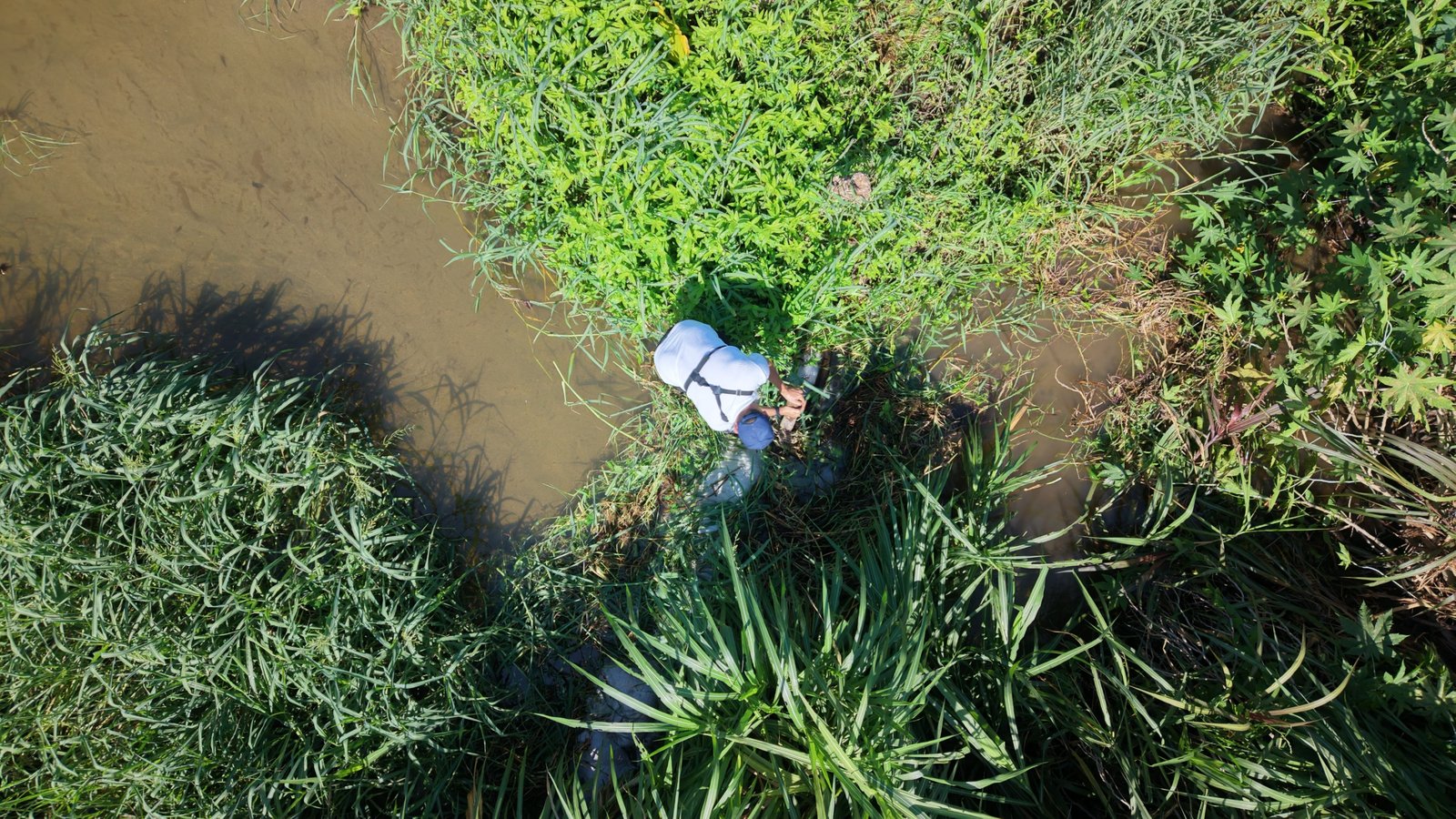 CORPAMAG RETIRA TRINCHO QUE OBSTRUÌA FLUJO DE AGUA EN  LA QUEBRADA LA AGUJA, MUNICIPIO DE CIÈNAGA